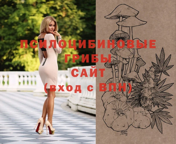 ГАЛЛЮЦИНОГЕННЫЕ ГРИБЫ Верея