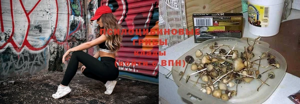 ПСИЛОЦИБИНОВЫЕ ГРИБЫ Бронницы