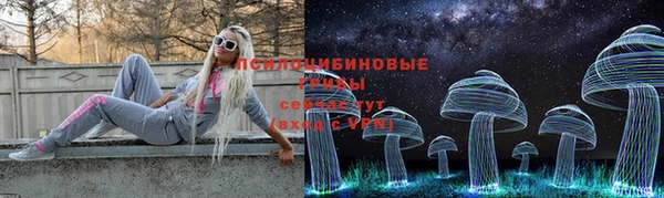 ПСИЛОЦИБИНОВЫЕ ГРИБЫ Бронницы